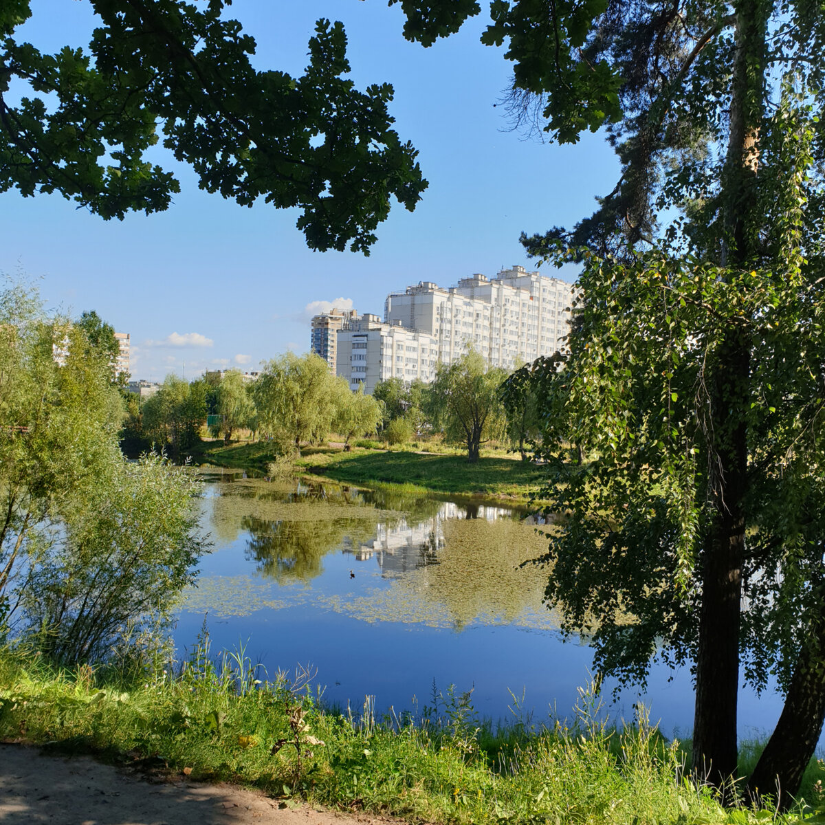 Должно было выглядеть так, но не сложилось. 