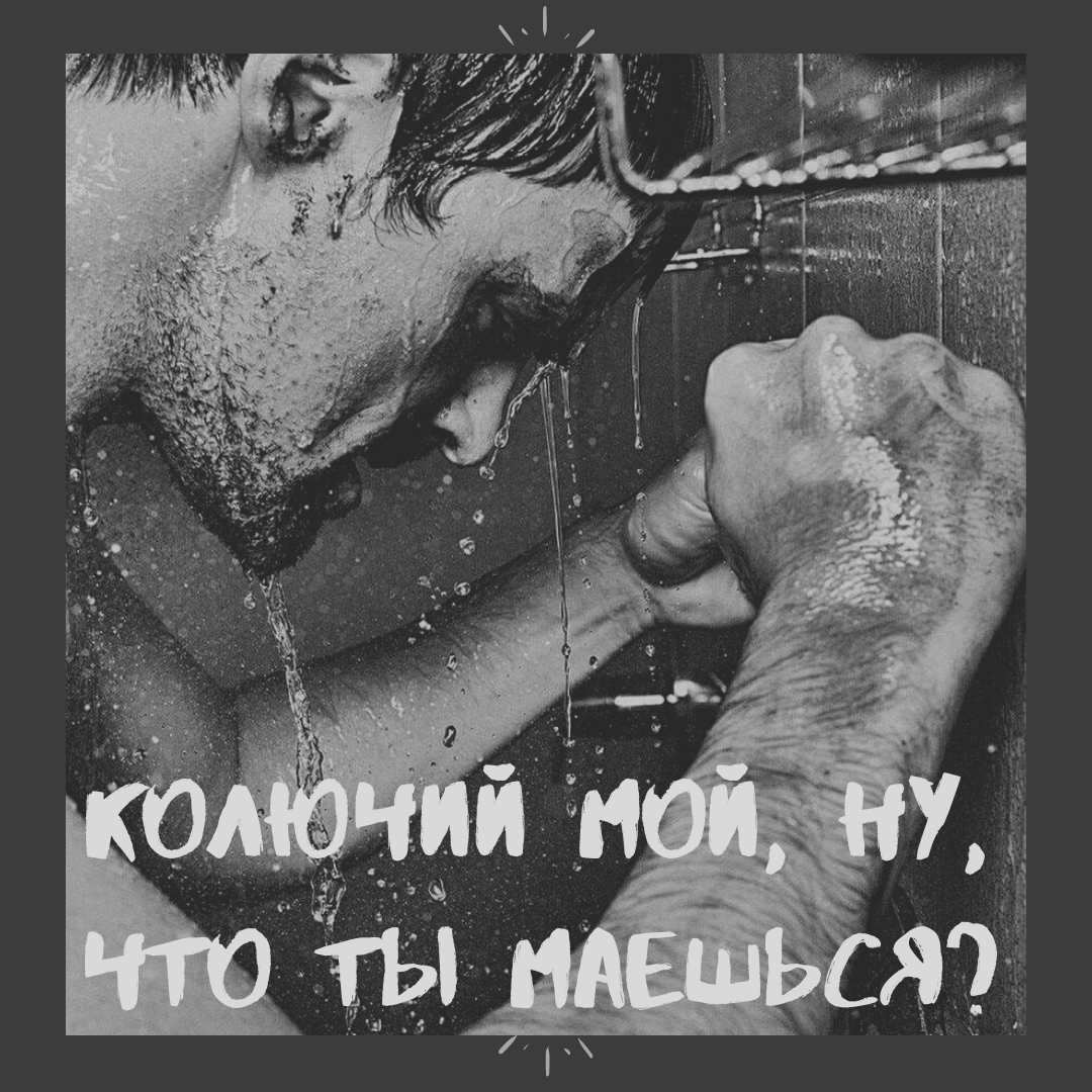 Колючий мой, ну, что ты маешься?