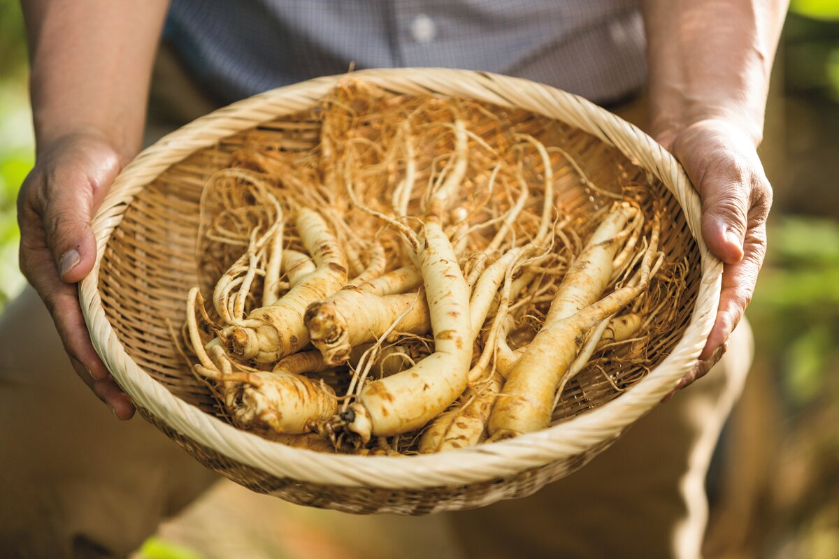 Скачано с Яндекс Картинки