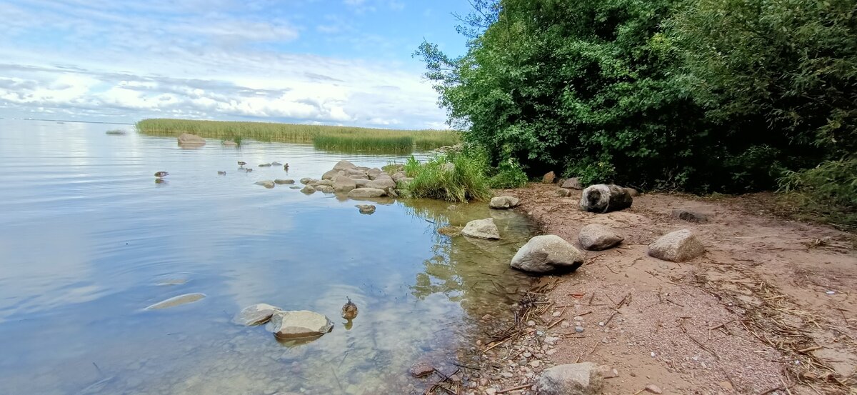 Берег финского залива у дачи Бенуа