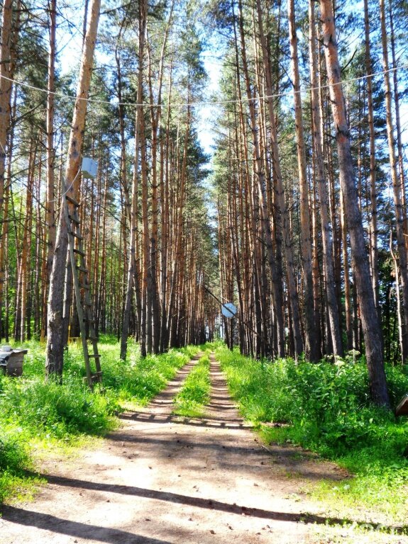 Дом- усадьба для единения с природой