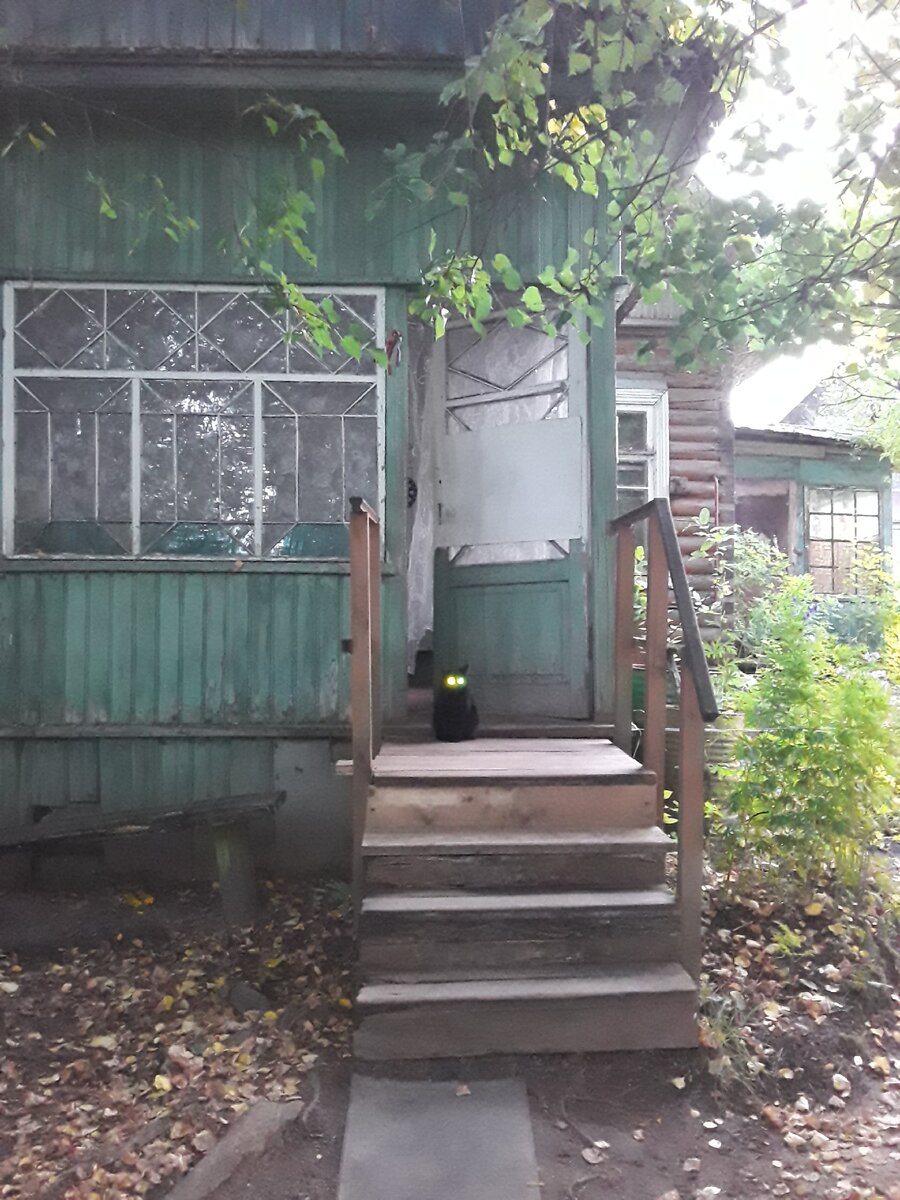 Таких лестниц, как эта, конечно, я не боюсь))). 