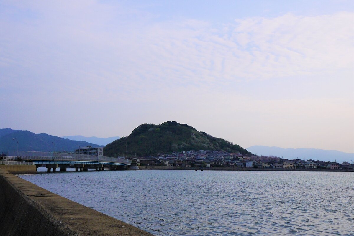 В этих местах в июле-августе бывает видимо-невидимо мечехвостов