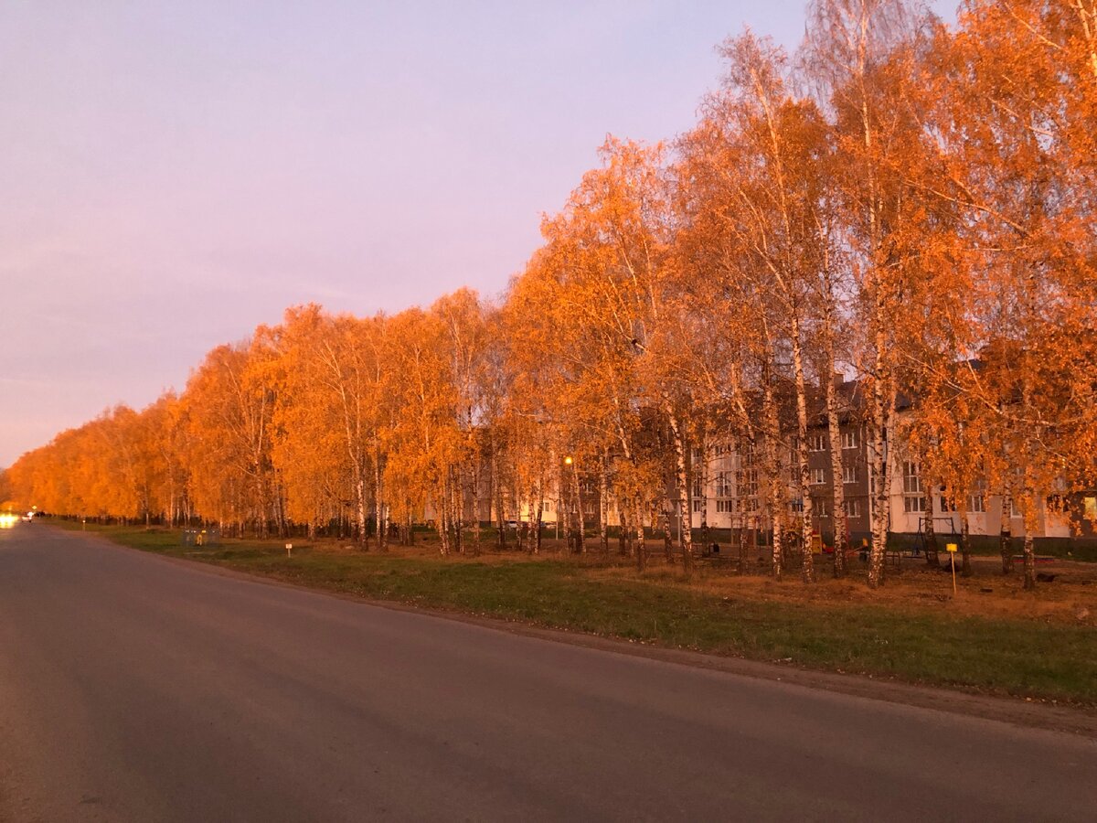 Просто середина осени, зато фото сделал сам,  как к статье относится? Ну тяжело сказать