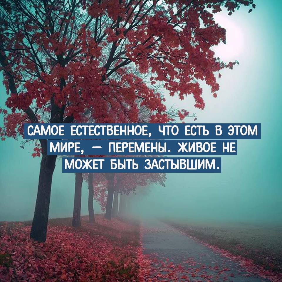 Самое естественное, что есть в этом мире, - перемены. Живое не может быть застывшим.