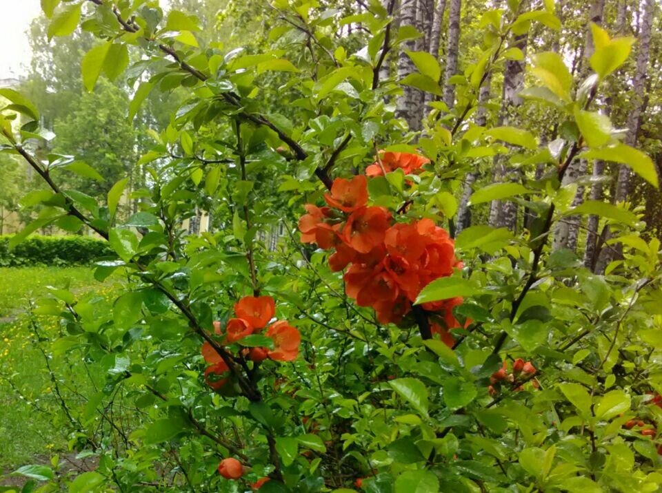 Фото: dzen.yandex.ru