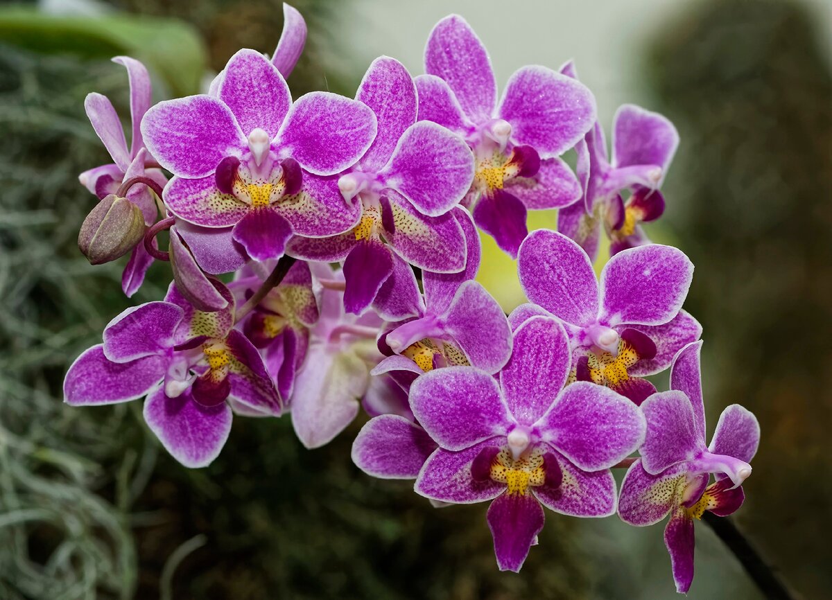 Источник фото: mail.eurosamodelki.ru