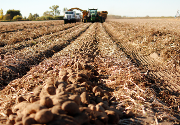 Источник:   Яндекс картинки
