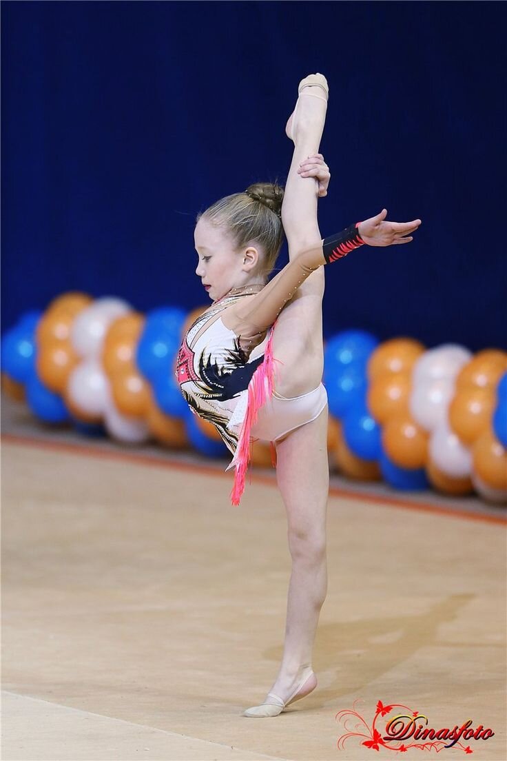 Всероссийская федерация художественной гимнастики