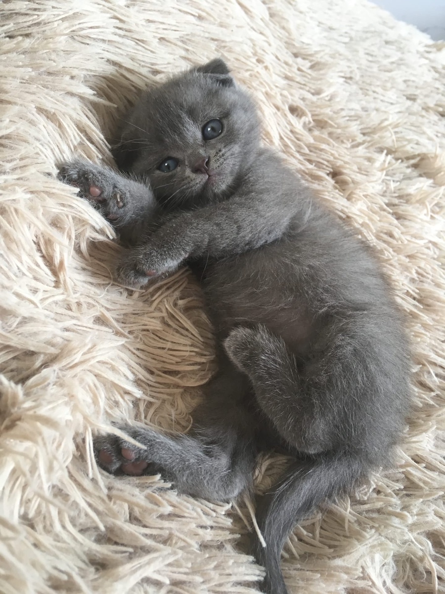 Отдыхает с папой)