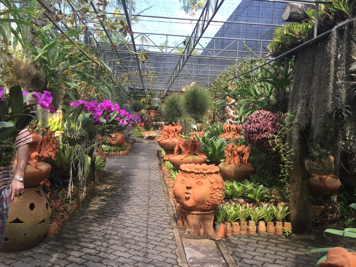 Сад Нонг нуч 