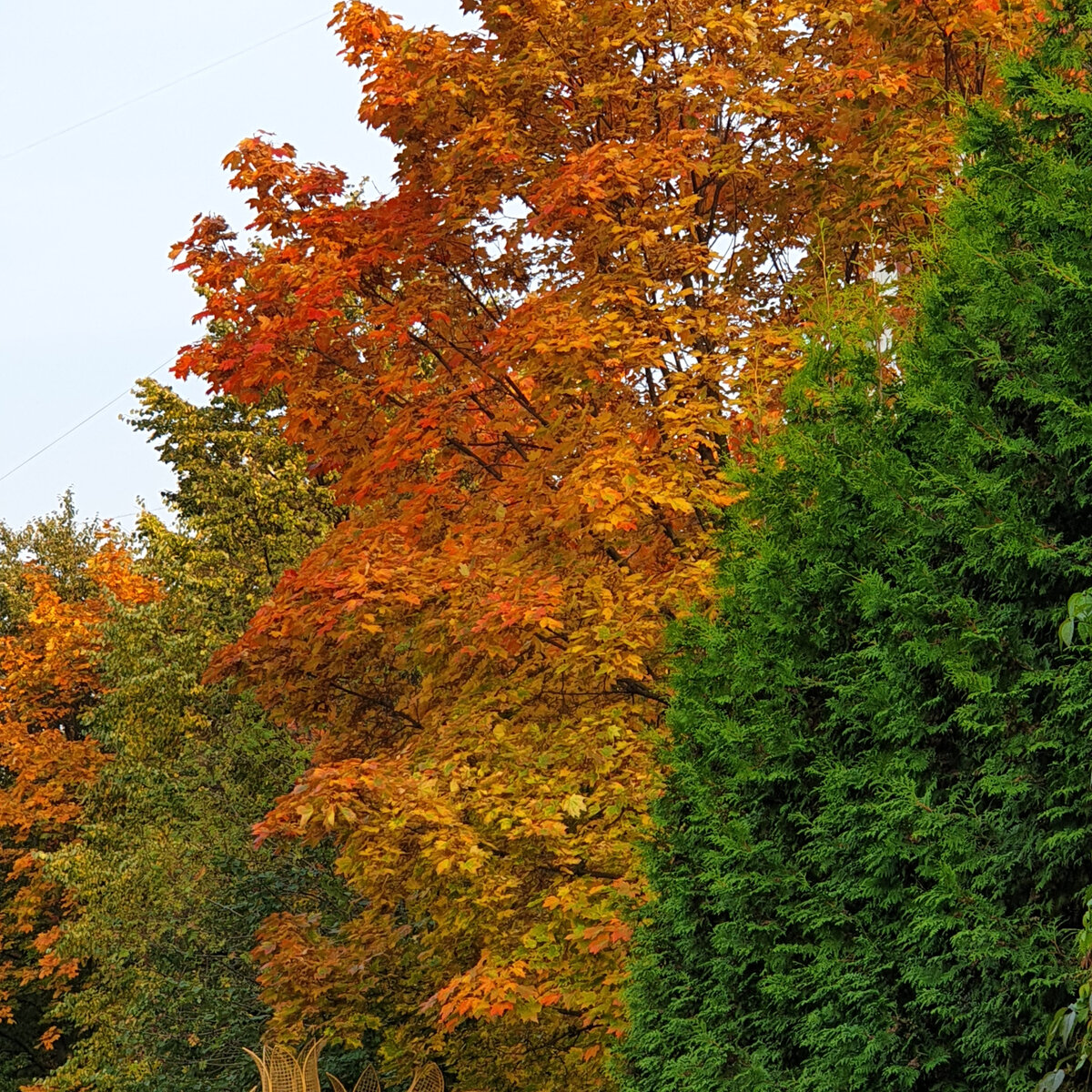 Хочется радоваться природе, а не принимать судьбоносные решения... 