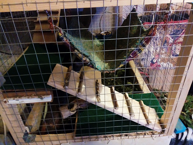 Это левая часть дома. Первый этаж.