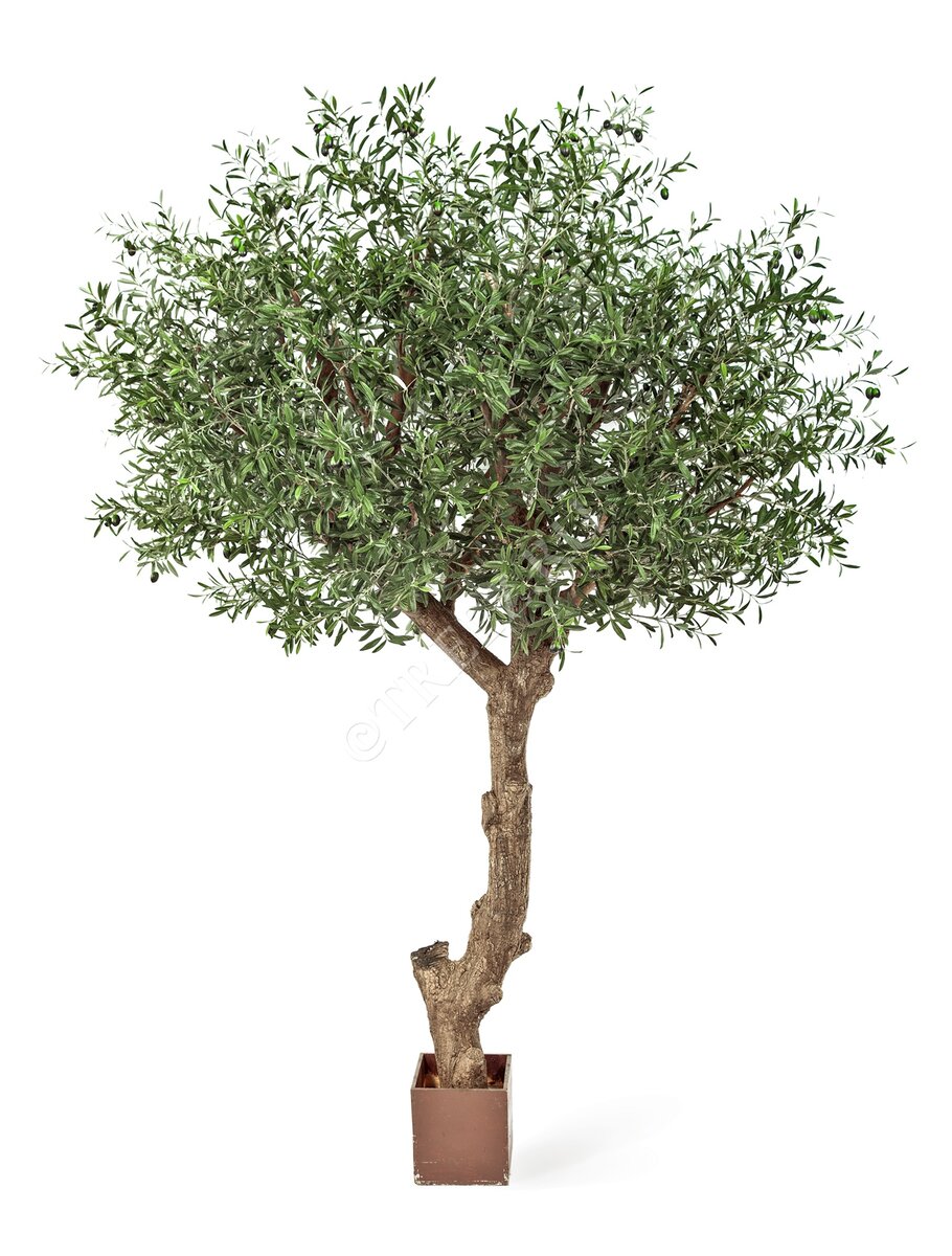 Искусственная Олива Олден на толстом стволе арт. 10.29009N. Treez Collection.