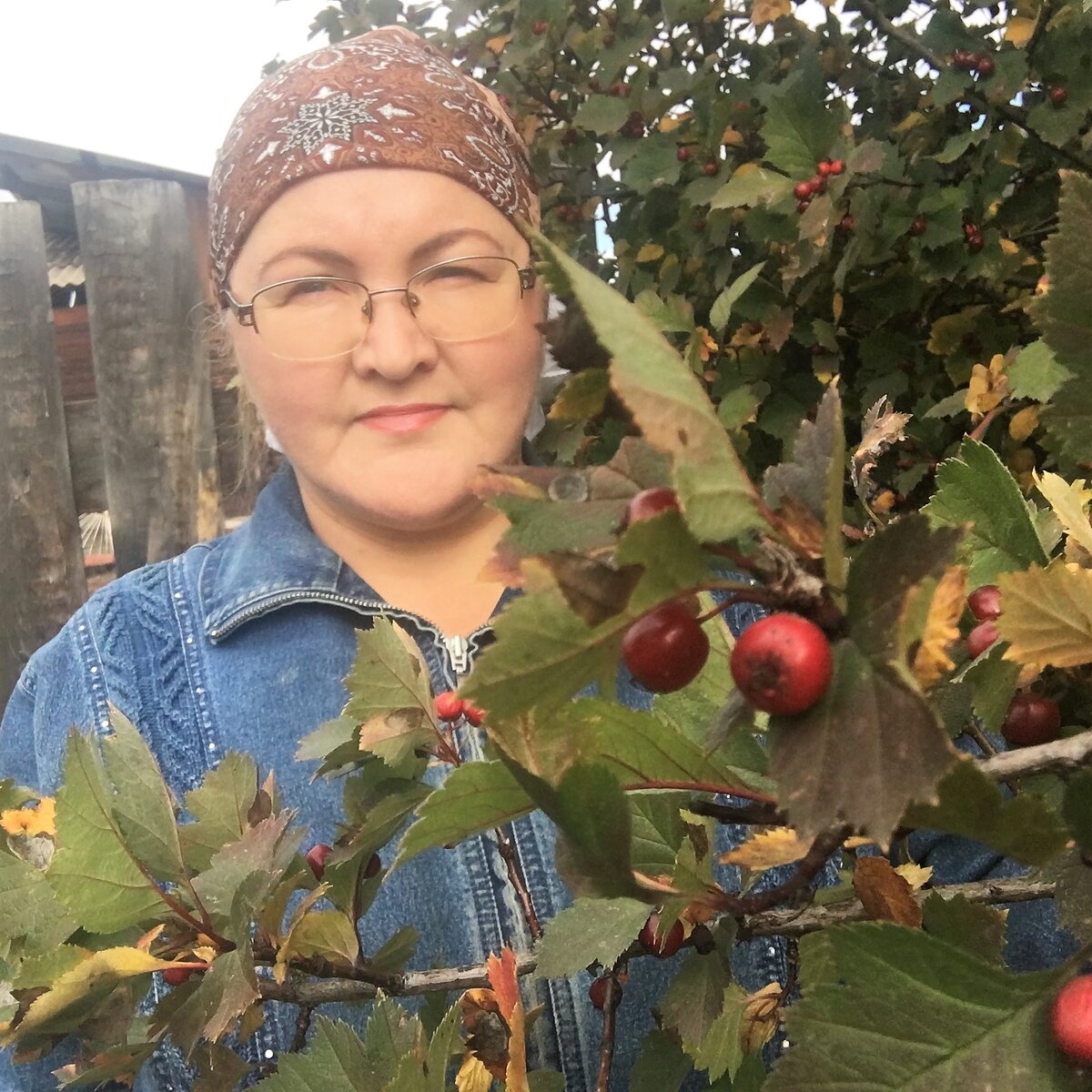 Когда собирать боярышник на сушку и что из него можно сделать | Сибирский  сад Оксаны Артеменко | Дзен