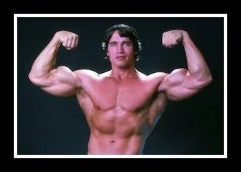 (Все картинки в статье взяты из "Яндекс Картинок")