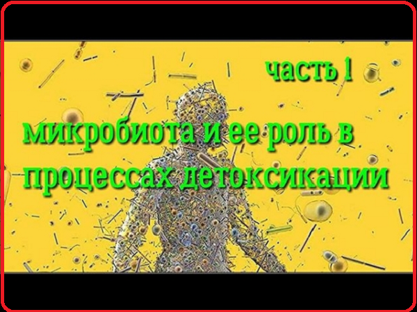 Детоксикация