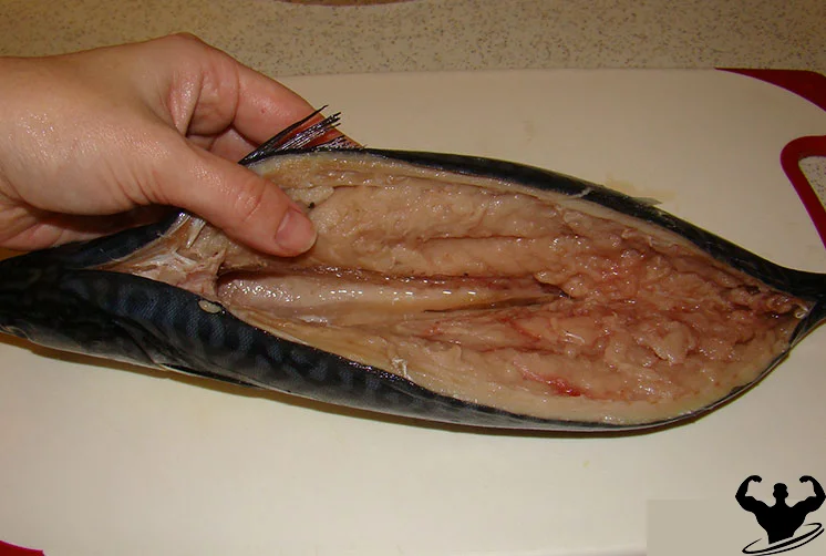 Скумбрия 200-300 рублей за кг, не так уж и дорого