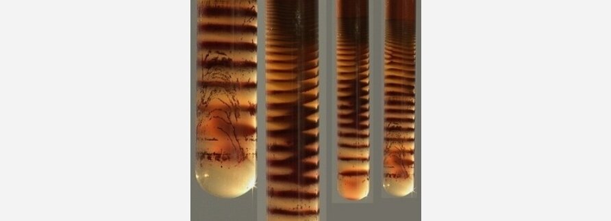 Кольца Лизеганга в пробирке 