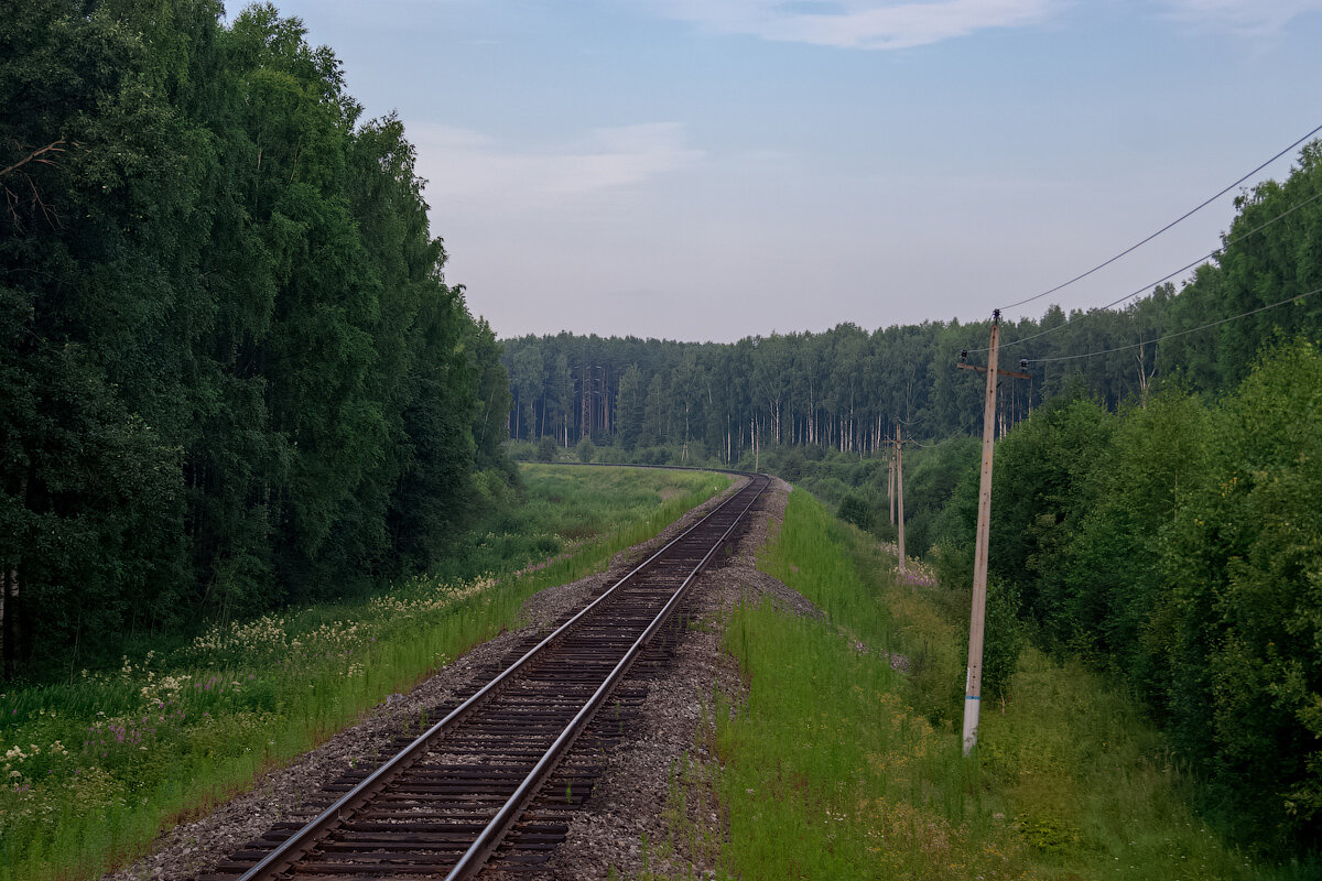 Линии кострома. Кострома - Галич ЖД линия. Станция Заволжск. Северная железная дорога Кострома. ЖД ветка Кострома Галич.