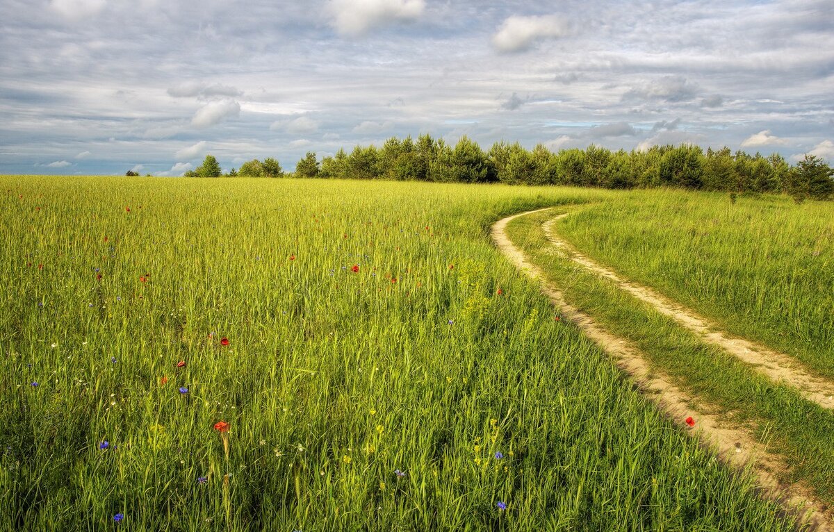 Русское поле))))