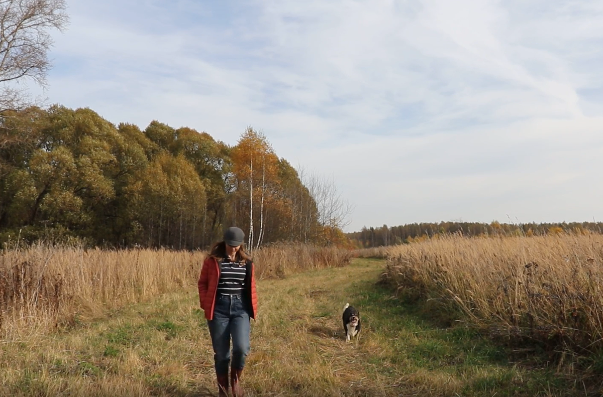 Гуляю с собаками в лесу.