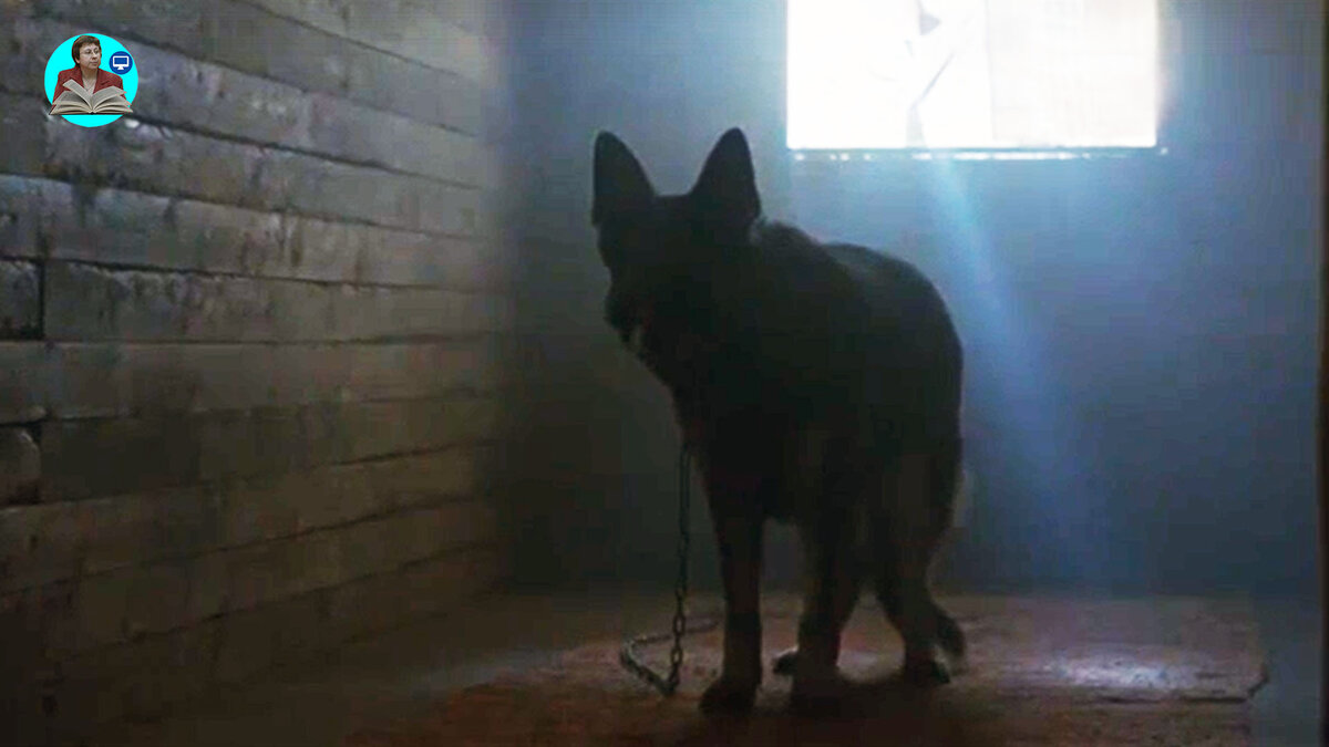 Кадр из сериала "Полярный круг". Преданный страж.