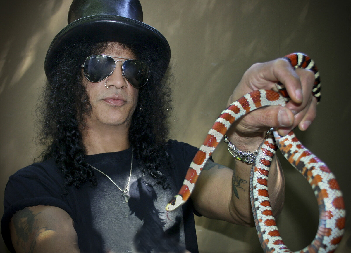 Фото из открытого источника "Яндекс картинки"