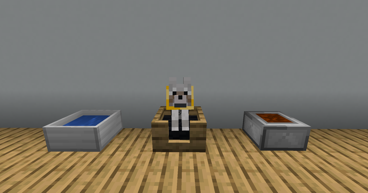 блоки из Doggy Talents