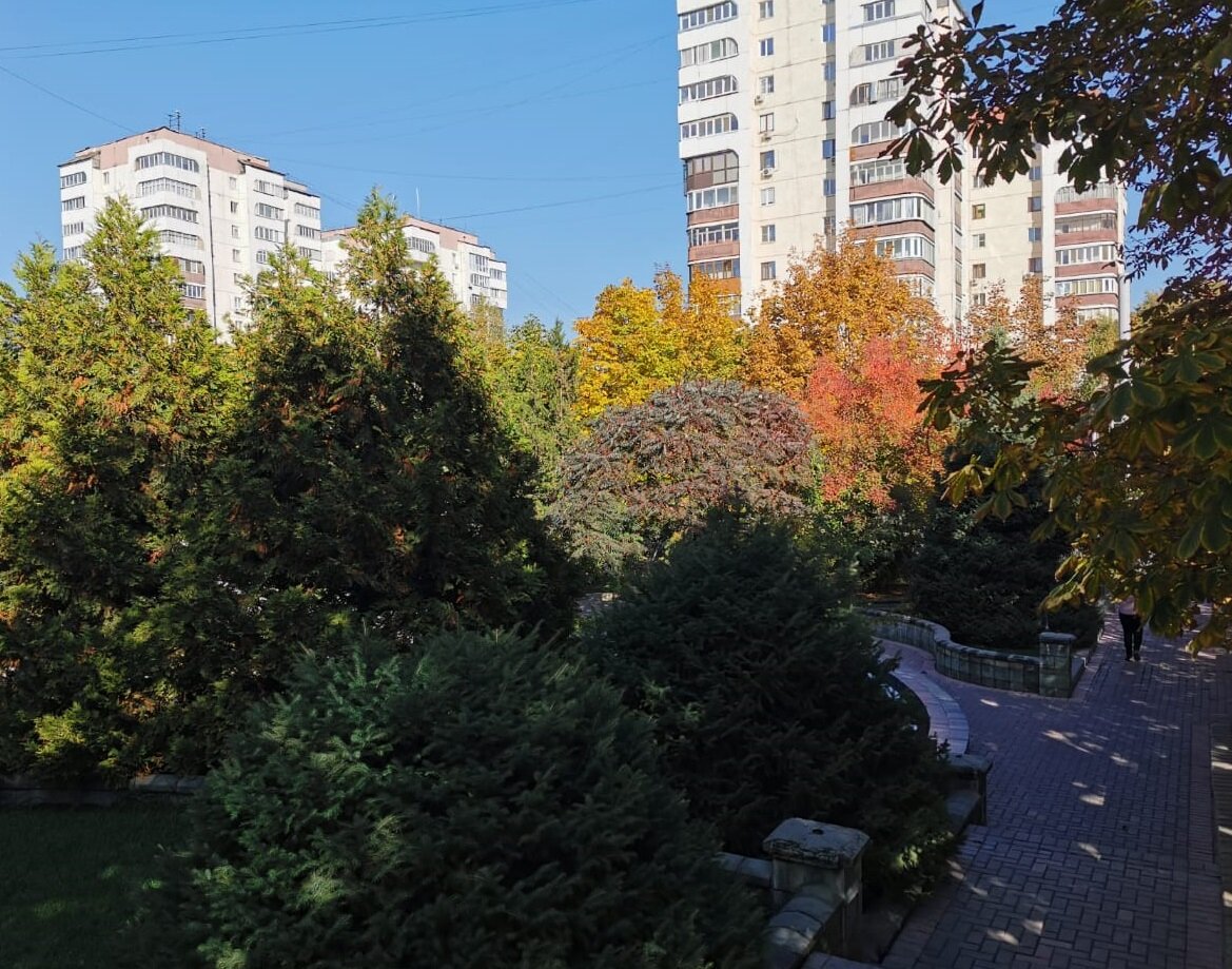 Осень в нашем городе прекрасна. Впрочем, как во многих городах