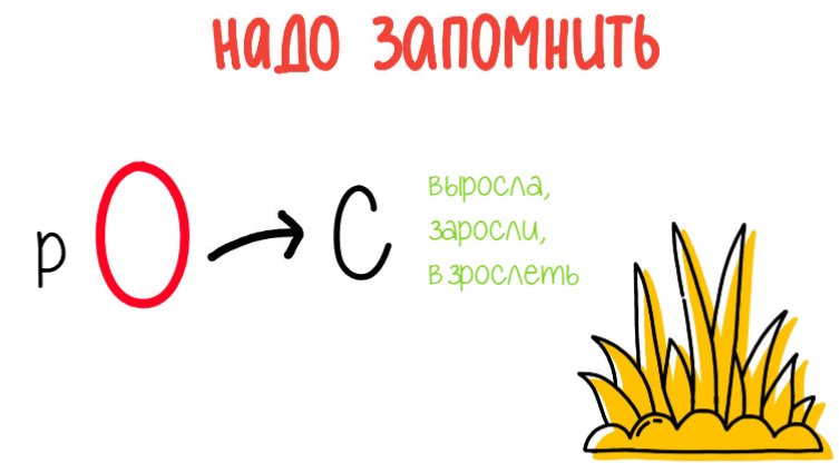 Рости и рости или расти. Выросли или вырасли как. Как пишется выросли или вырасли. Растут или ростут правило. Цветок ростет или растет.