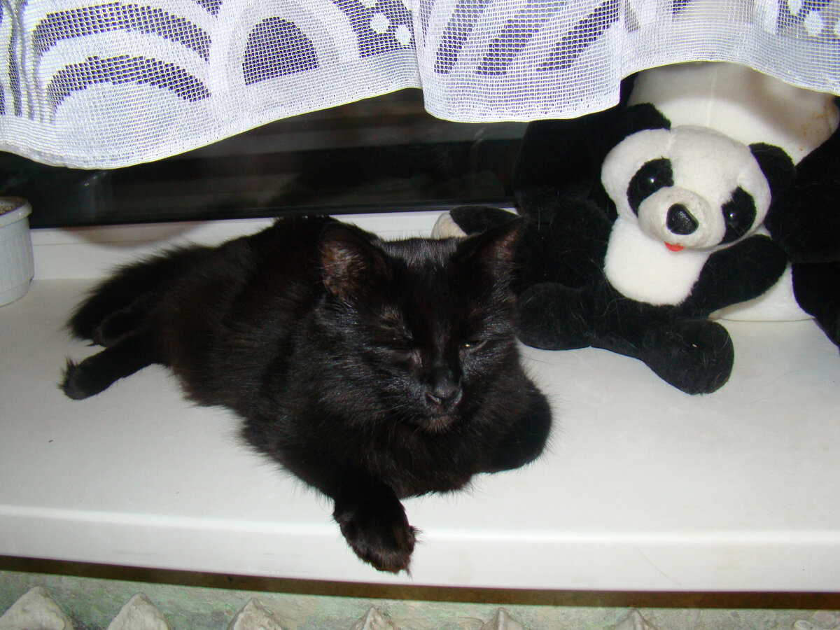 Зрелая дама Нюша знает все об этой жизни)