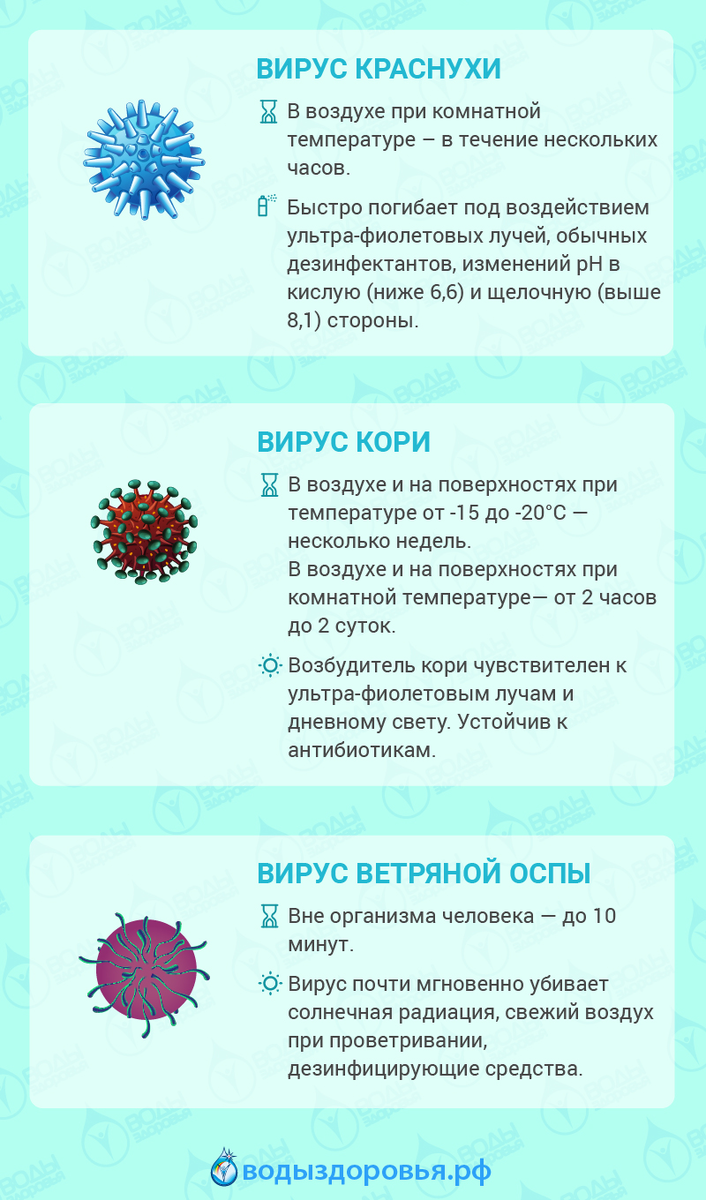 Вирусы живущие на предметах. Срок жизни вирусов вне организма. Жизнь с вирусами. Продолжительность жизни вирусов. Сколько живут вирусы вне организма