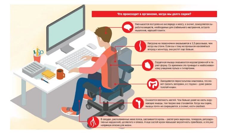 Изображение загружено из свободного доступа интернет.