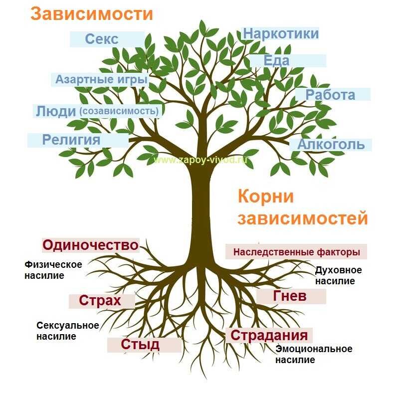 Изображение: из открытых источников