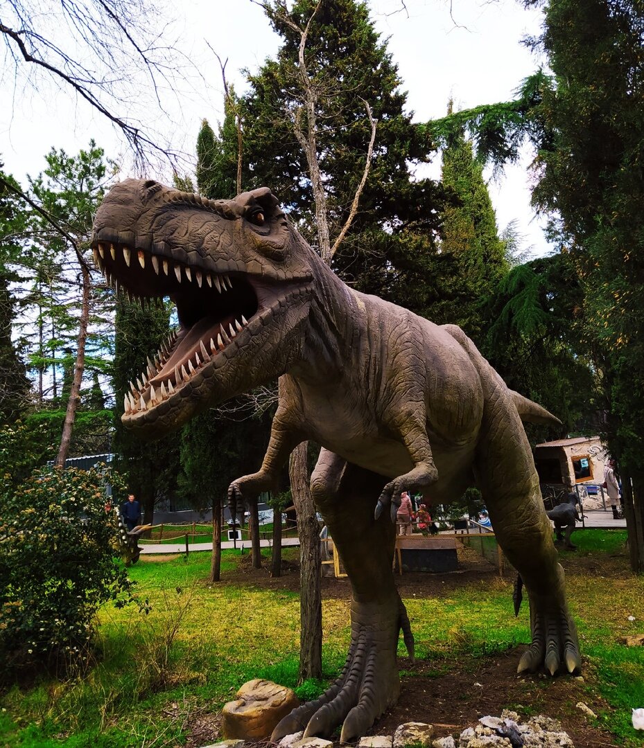 Тираннозавр Рекс.    