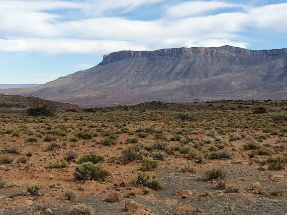 Таких территорий до сих пор много, даже по соседству с уже возделанными площадями. Так что можно назвать это фото "ДО"