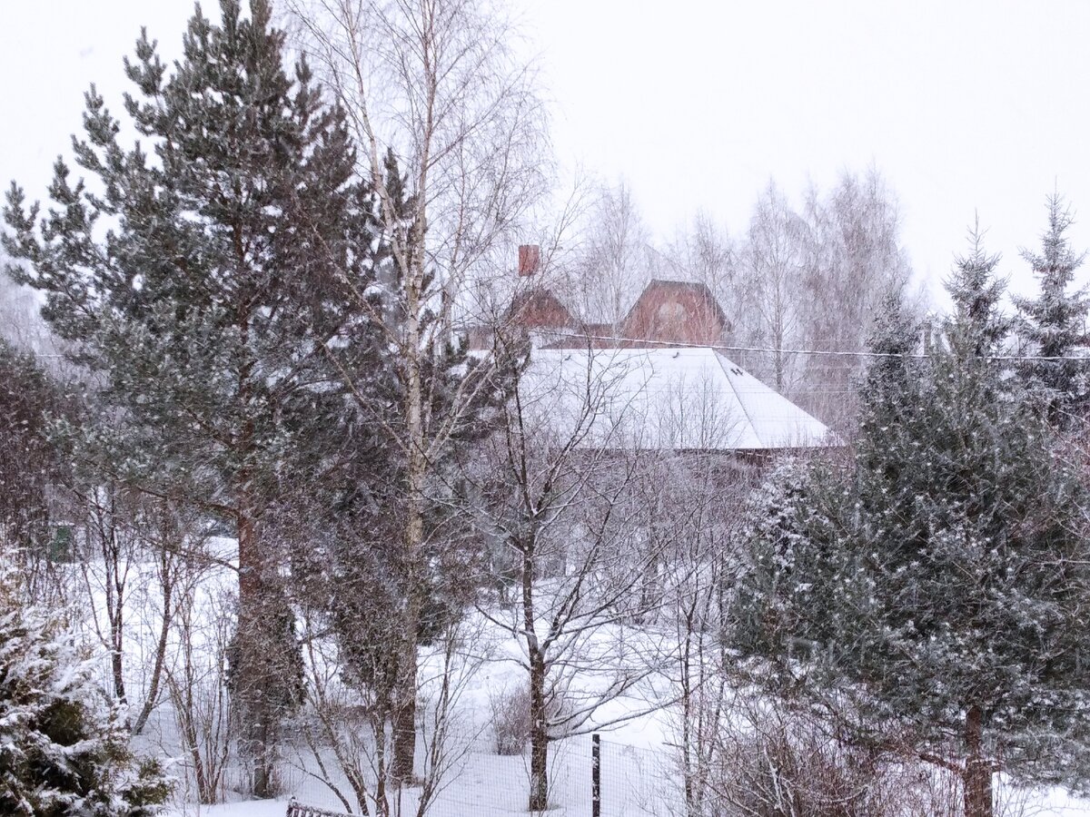 Снова всё в снегу