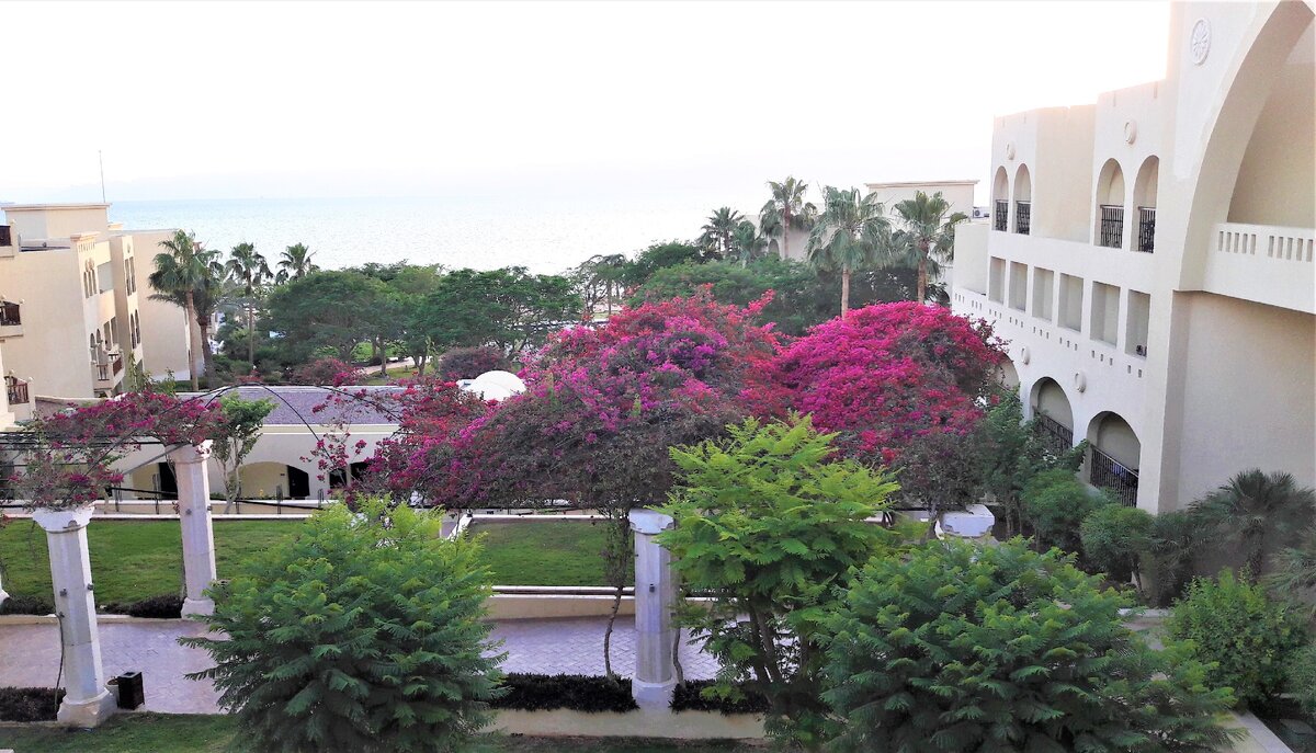 Территория хорошо озеленена