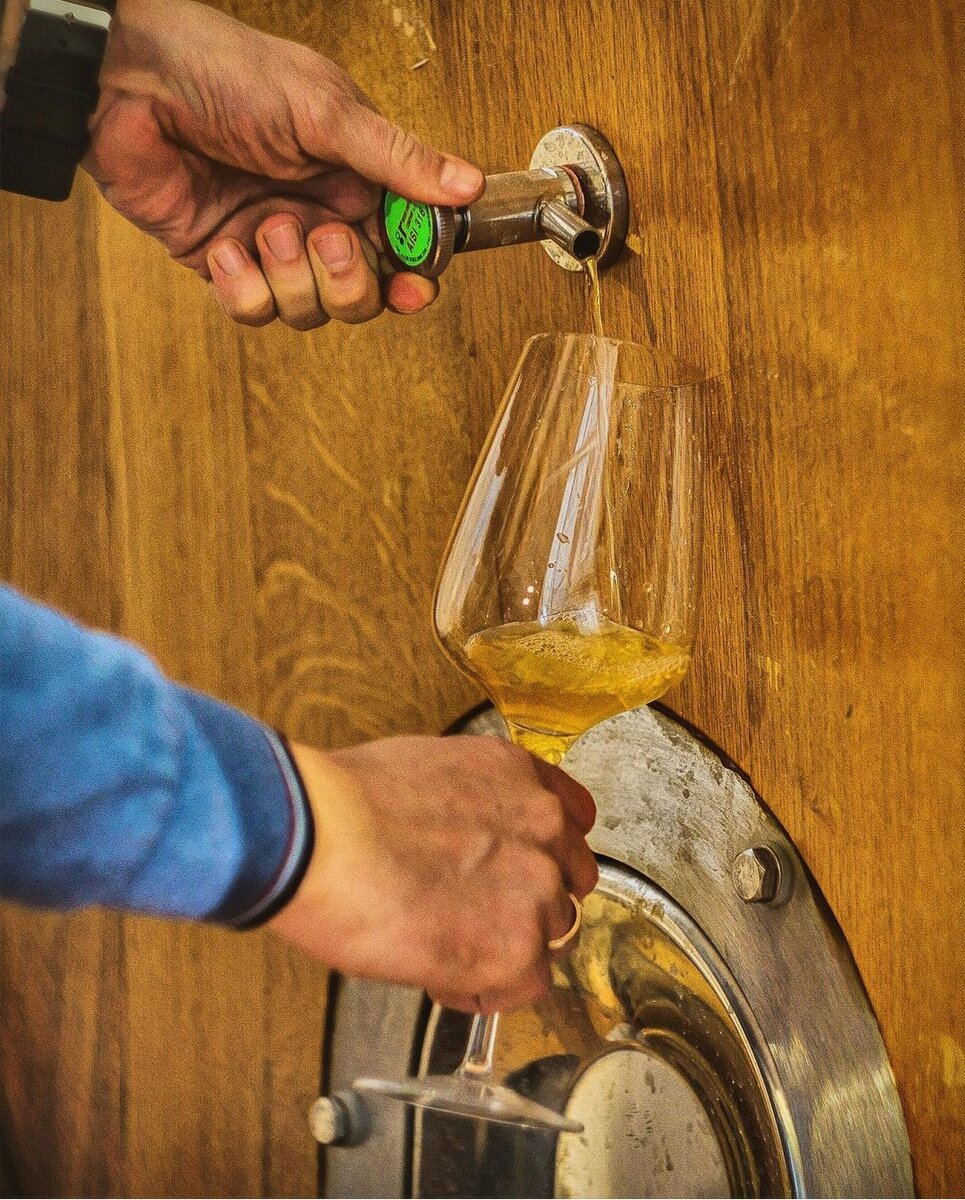 Иллюстрация из инстаграм аккаунта винодельни Тристория.