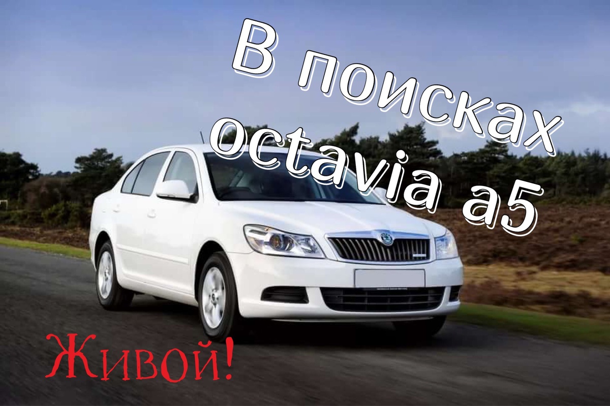 Все равно, что найти клад!