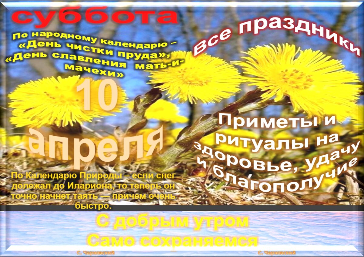 Какой сегодня праздник 10 апреля. 10 Апреля праздник. 10 Апреля народный праздник. 10 Апреля праздник 2021. Оригинальные праздники 10 апреля.