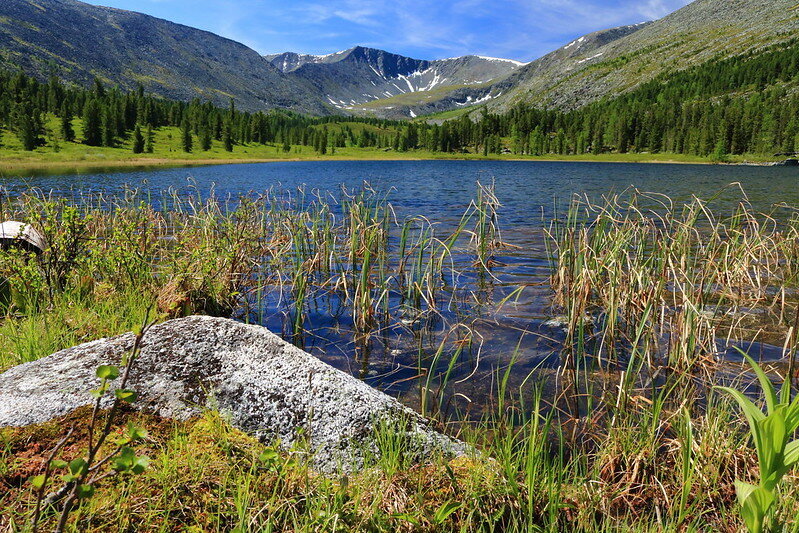 Для хорошего настроения. Flickr.com. Автор: Fedor Odegov