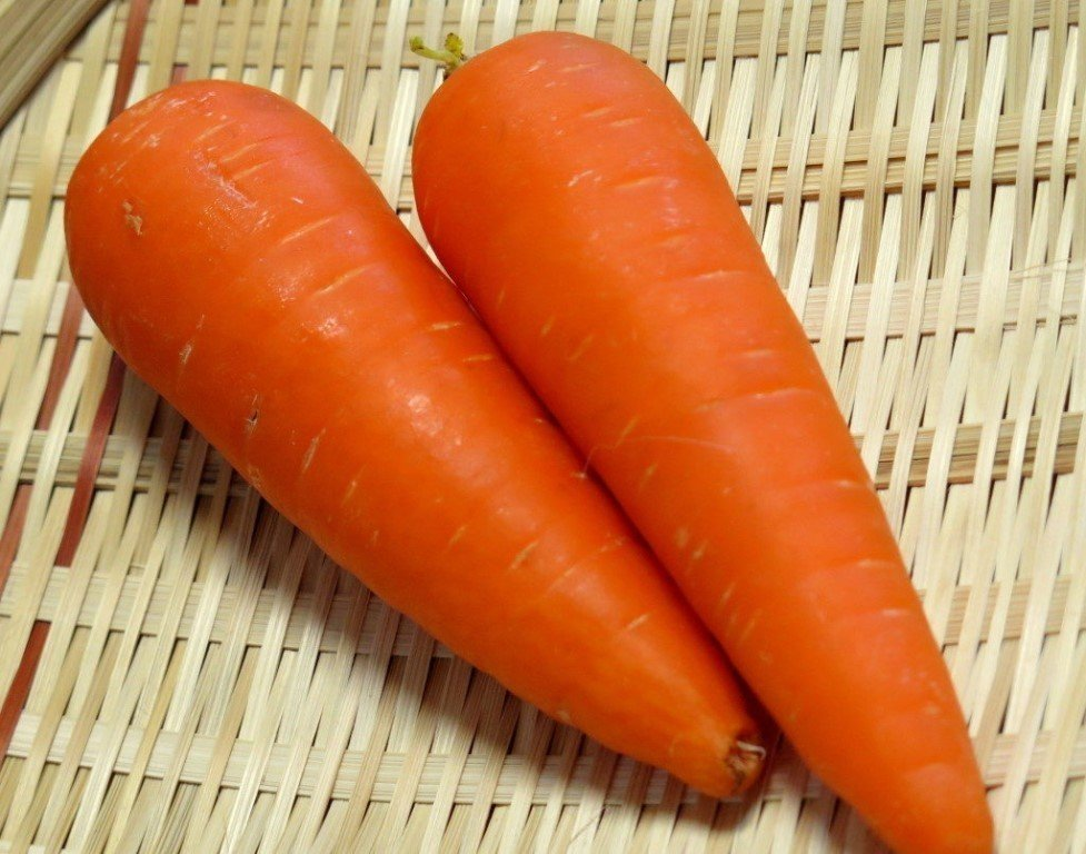 Морковь Миникор: описание и характеристики сорта, правила посадки и выращивания, отзывы