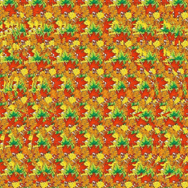 Стереокартинка с ребусом ALGAL 2