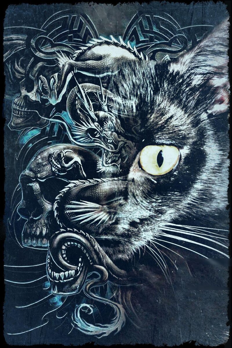 Фото автора статьи