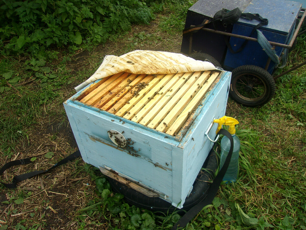 Магазинка с полными рамками. Фото автора.