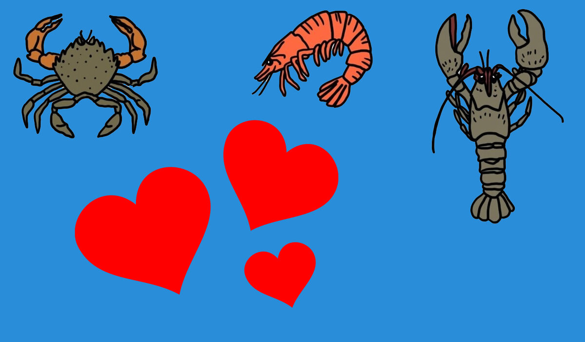 Картинка с сайта vk.com/xcrab