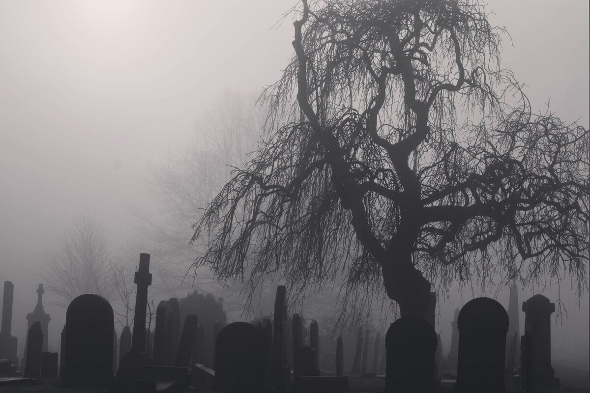 Фото (арт) найдено на просторах интернета. Если вы автор данного арта, пожалуйста, напишите в личку для указания авторства или замены иллюстрации по вашему желанию.