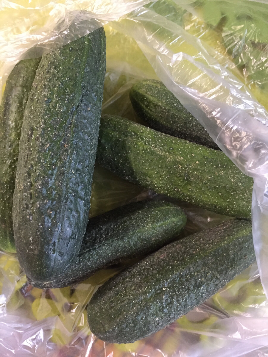 Такие вот люблю, небольшие